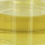 ตัวปรับสภาพน้ำมันหล่อลื่นน้ำมัน Stabilizer Pentaerythrityl Oleate PETO Liquid CAS 19321-40-5